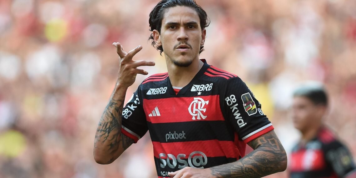 CNN Brasil