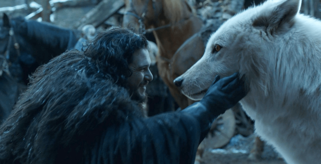 Qual é a relação dos lobos-terríveis com “Game of Thrones”?