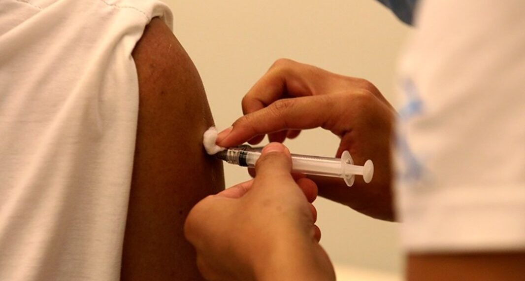 Vacina da gripe em 2025: como funciona e quem deve tomar?