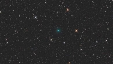 Novas imagens do cometa 3I/ATLAS, capturadas em 7 de setembro  -  (crédito: Reprodução/Michael Jäger e Gerald Rhemann )