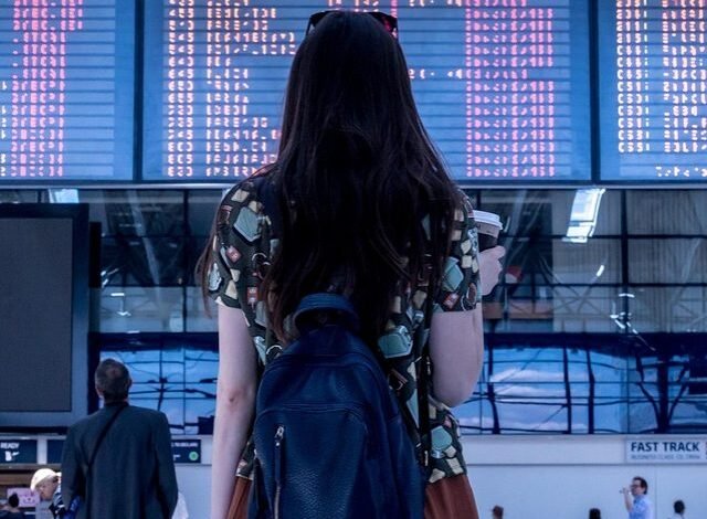 vale a pena? E como escolher o ideal para você?