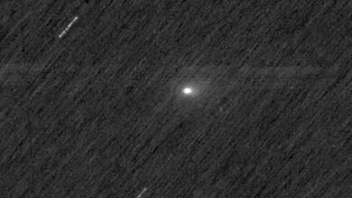 Cometa com núcleo brilhante e cauda difusa visível no centro da imagem, sobre fundo escuro pontilhado por estrelas desfocadas e traços de movimento.