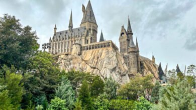 Why Harry Potter Fans Are Suddenly Booking a Trip to New York