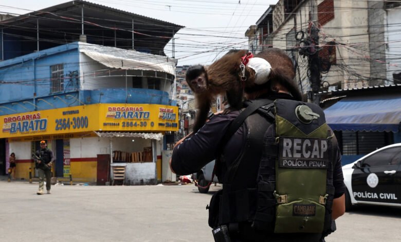 Quanto a violência custa ao Brasil? A conta já passou do trilhão