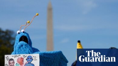 Republicans mostly silent as millions of Americans protest Trump on No Kings day | Protests (US)