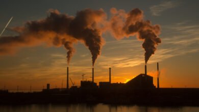 Ministério da Fazenda ganha secretaria para gerir mercado de carbono