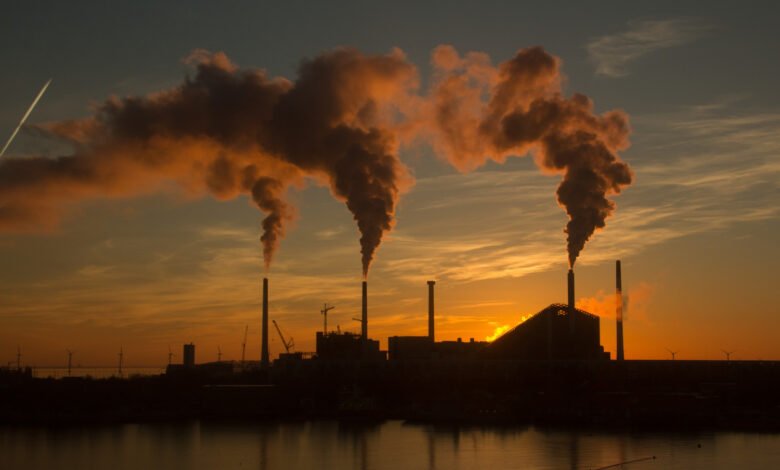 Ministério da Fazenda ganha secretaria para gerir mercado de carbono