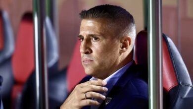 Imagem de Hernán Crespo comemorando com os jogadores do Vasco em um estádio lotado após uma vitória emocionante que garantiu a qualificação do time para uma fase decisiva do campeonato.