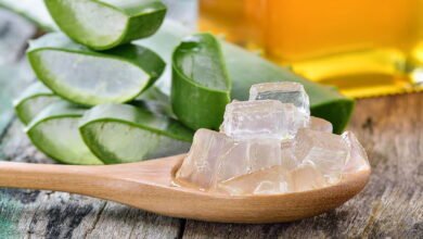 Como usar esta planta para cuidar da pele, do cabelo e da saúde intestinal