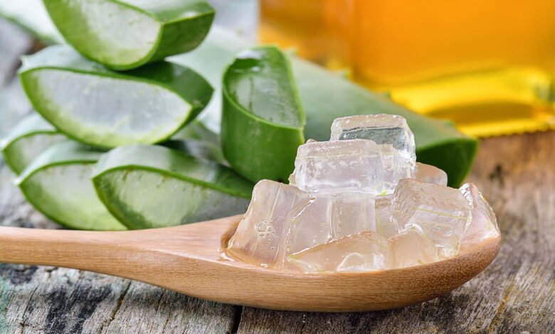 Como usar esta planta para cuidar da pele, do cabelo e da saúde intestinal