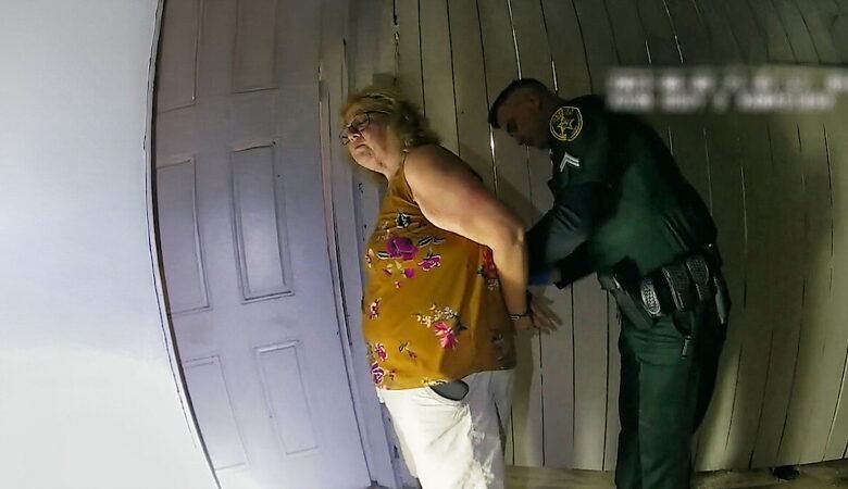 ‘A Vizinha Perfeita’: retrato cru do cotidiano da estrutura racista dos EUA