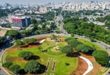 Dia do Servidor Público: veja quais estabelecimentos vão funcionar em SP