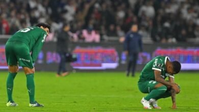 Jogo decisivo entre Palmeiras e LDU: Palmeiras busca renascimento em confronto importante no campeonato.