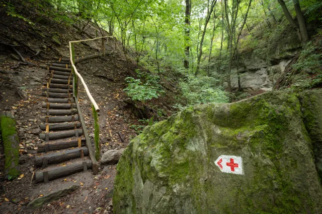 Popular Moonlight Gorge hiking trail