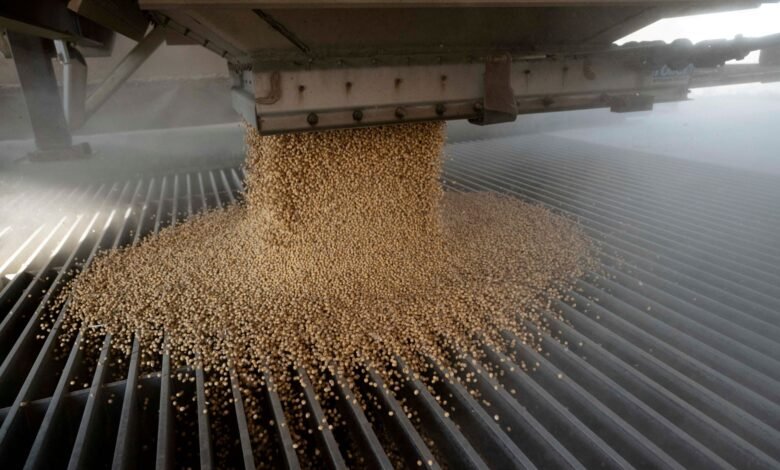 China compra cargas de soja dos EUA antes da reunião Trump-Xi, dizem fontes