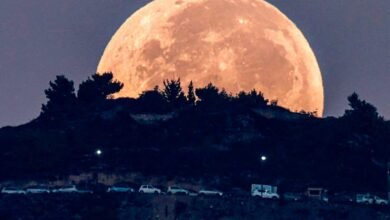 veja as fases da lua no mês
