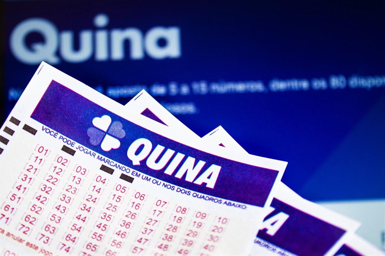 veja os números do sorteio desta quarta (8)