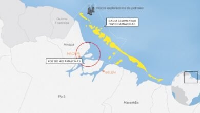 Foz do Amazonas fica na Margem Equatorial, região rica em recifes e manguezais