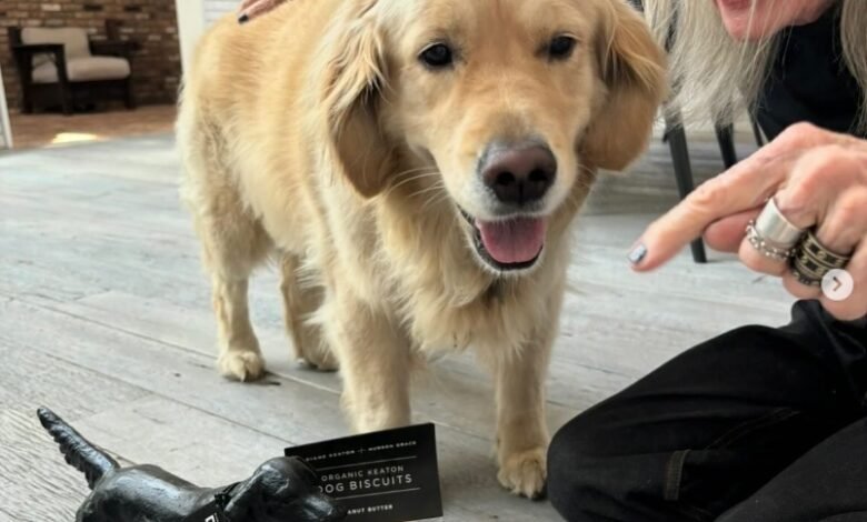 Diane Keaton deixa herança para pet. É possível fazer isso no Brasil?