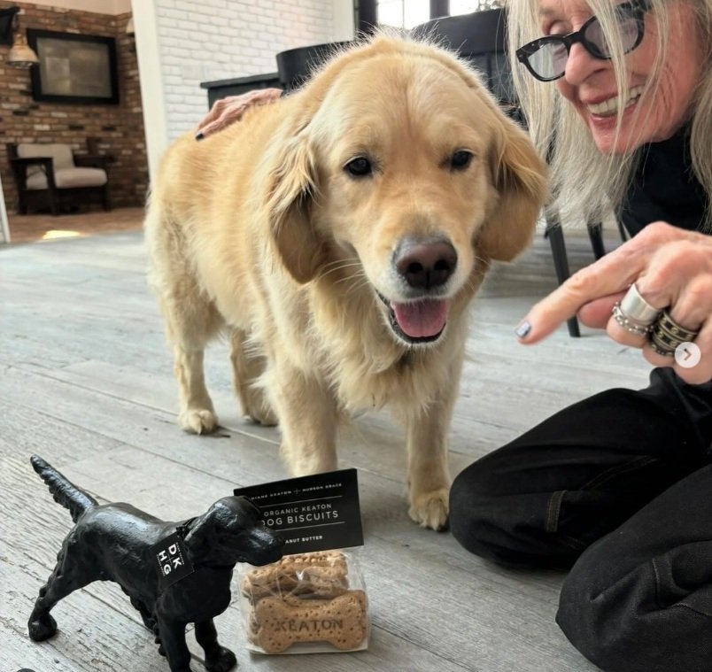 Diane Keaton deixa herança para pet. É possível fazer isso no Brasil?