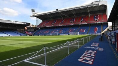 Crystal Palace x Bournemouth: horário e onde assistir à Premier League