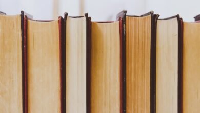 Venda de livros cresce mais de 7% em setembro em relação a 2024