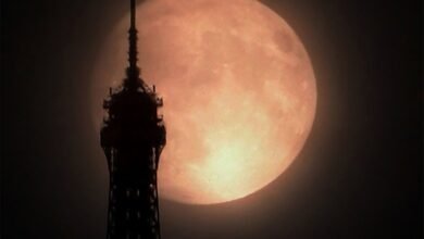 Lua hoje: confira a fase da Lua neste sábado 11/10/2025