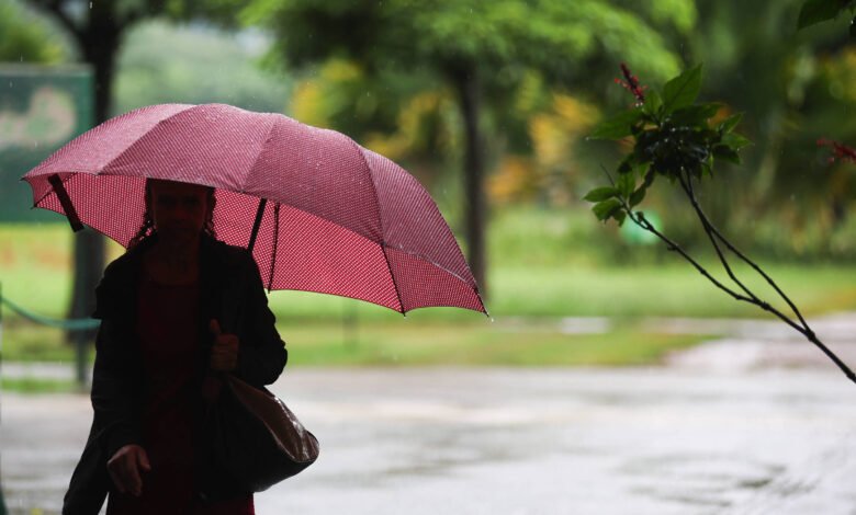 A imagem mostra a silhueta de uma pessoa segurando um guarda-chuva vermelho em um dia chuvoso. O fundo é desfocado, com árvores verdes e um ambiente úmido. A pessoa parece estar caminhando, vestindo roupas escuras e carregando uma bolsa.