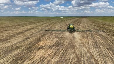 Excesso de soja na China pode acabar com esperanças de exportação dos EUA