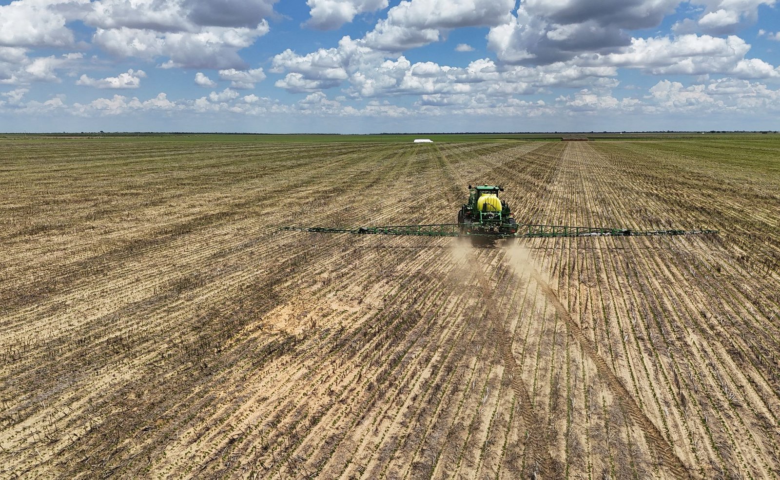 Excesso de soja na China pode acabar com esperanças de exportação dos EUA