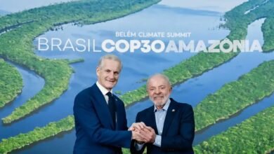 Tesla, Novo Nordisk e florestas? Entenda a importância do fundo soberano na Noruega