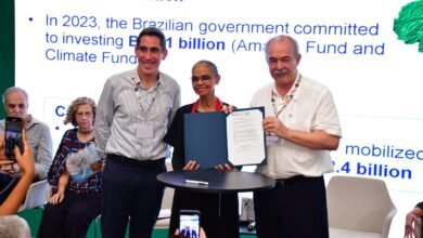 BNDES libera R$ 250 mi para recuperar 19 mil hectares de Amazônia e Mata Atlântica