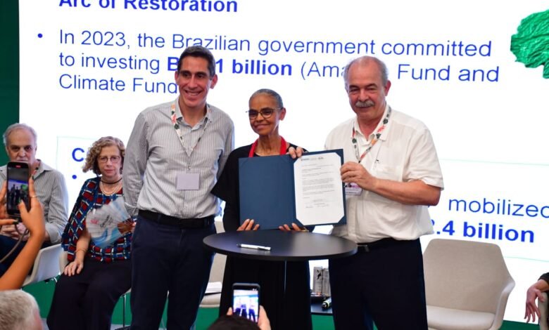 BNDES libera R$ 250 mi para recuperar 19 mil hectares de Amazônia e Mata Atlântica