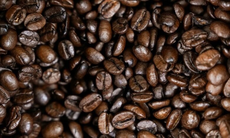Possível recorde para safra de café do Brasil em 2026 anima setor para repor estoques