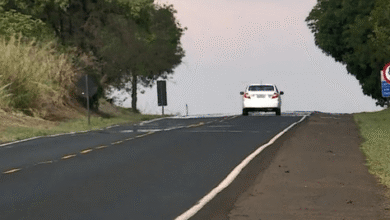 Way Concessões vence leilão da Rota Sertaneja com desconto de 24,8% na tarifa