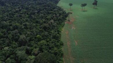 Roteiro para Amazônia pode criar 312 mil empregos e movimentar R$ 40 bilhões
