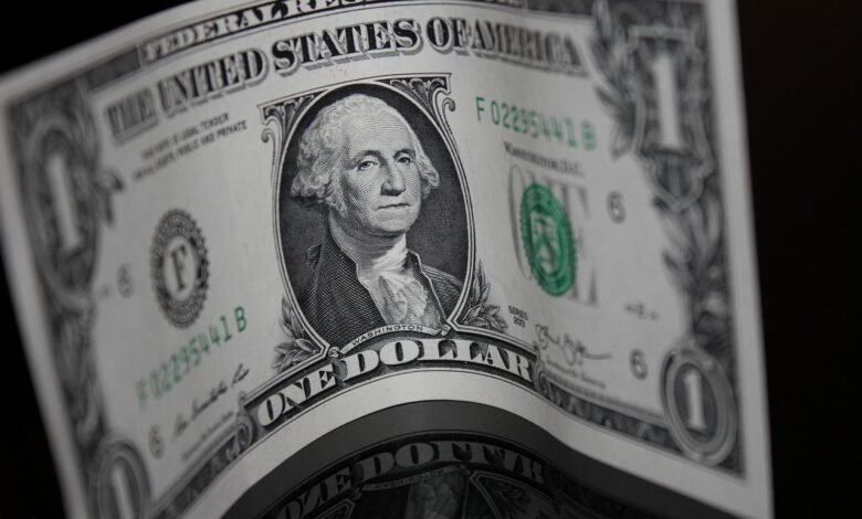 Tesouro anuncia nova emissão de títulos sustentáveis no mercado internacional