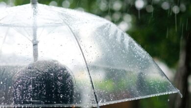 Araras deve ter um dia com pancadas fortes e rápidas neste sábado (08)