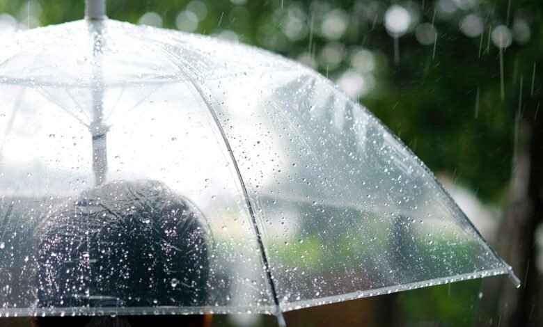 Araras deve ter um dia com pancadas fortes e rápidas neste sábado (08)