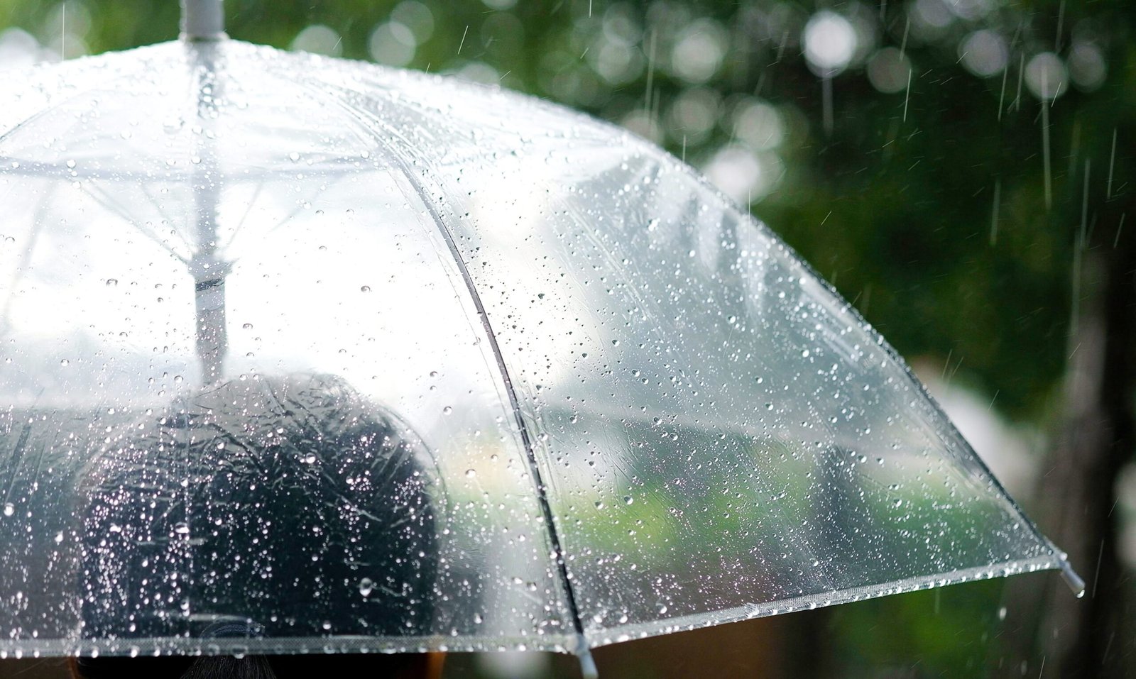 Araras deve ter um dia com pancadas fortes e rápidas neste sábado (08)