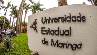Ranking Universitário: UEM se mantém no topo entre estaduais do Sul pelo 3º ano