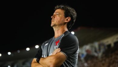 Jogo de futebol: Vasco reforçado enfrenta Mirassol no estádio São Januário. Provável escalação do Vasco indicada.