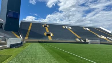 Passo a passo para resgatar ingressos gratuitos para jogos do Palmeiras na Copinha