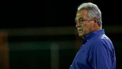 Imagem mostrando Abel Braga, técnico do Internacional, concentrado no campo enquanto faz contas para evitar o rebaixamento no campeonato brasileiro.