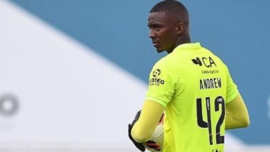 Botafogo em negociação de pré-contrato com o goleiro Andrew, do Gil Vicente