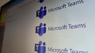 Captura de tela do Microsoft Teams exibindo habilidades no perfil de um colaborador.