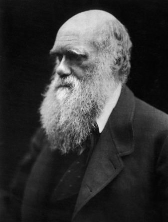 charles-darwin-l